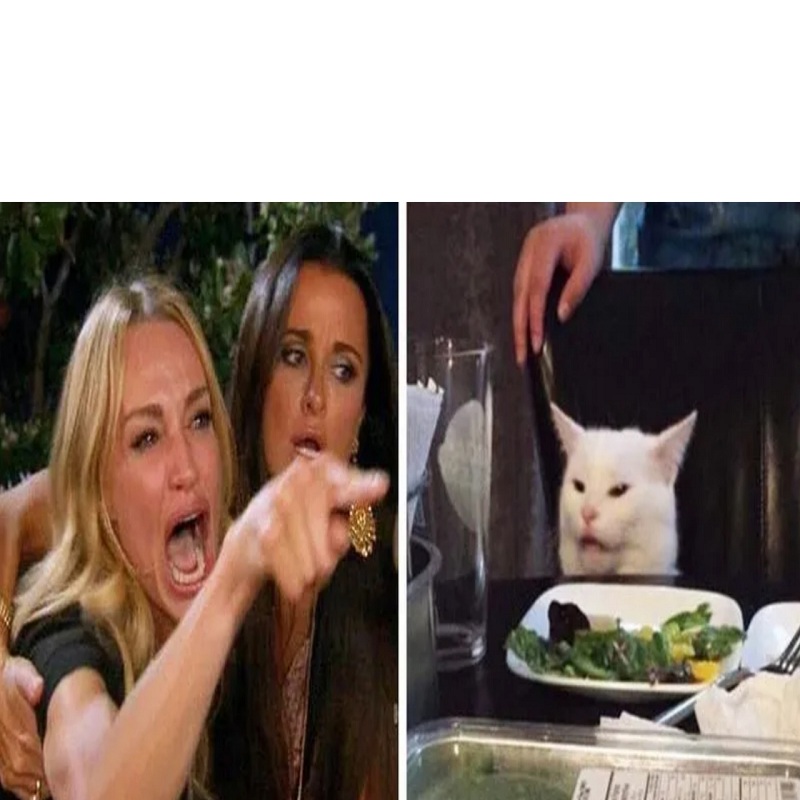 women-cat
